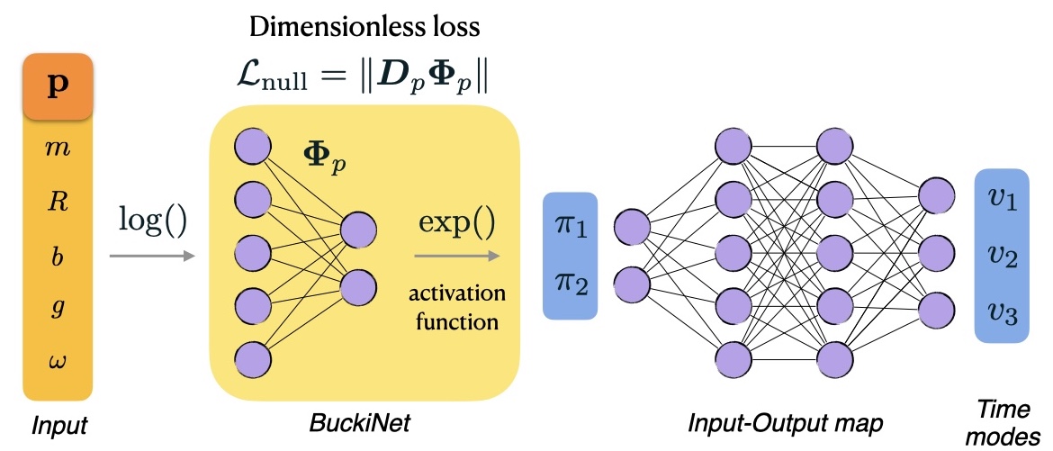 BuckiNet